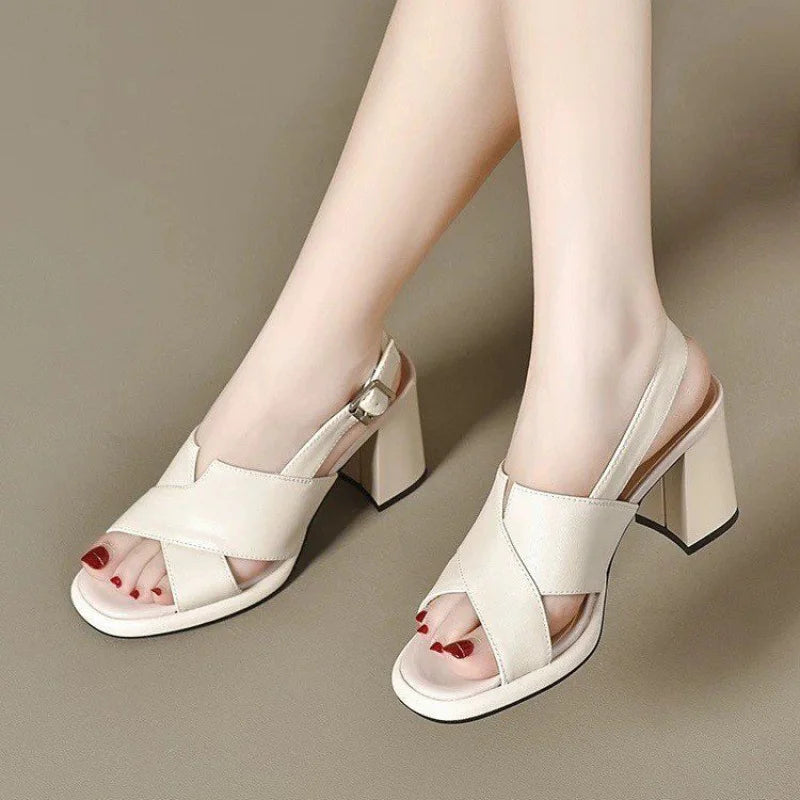 Women's Open Toe Platform Sandals Chunky Heel 1