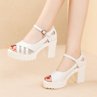 White 8cm
