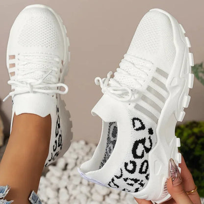 ed86de01-525b-44de-bb08-00d35693c2a1-Max